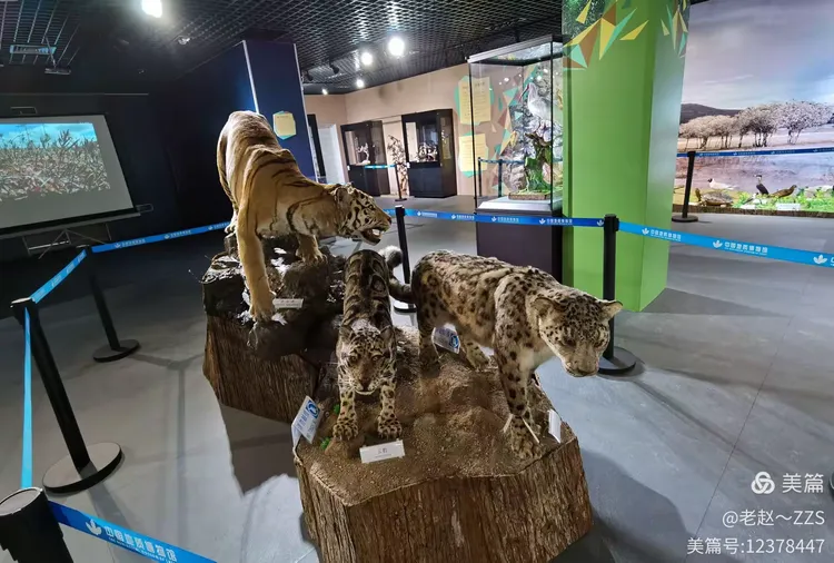 呼和浩特山羊群对决山西黄鼬队，实力对比明显