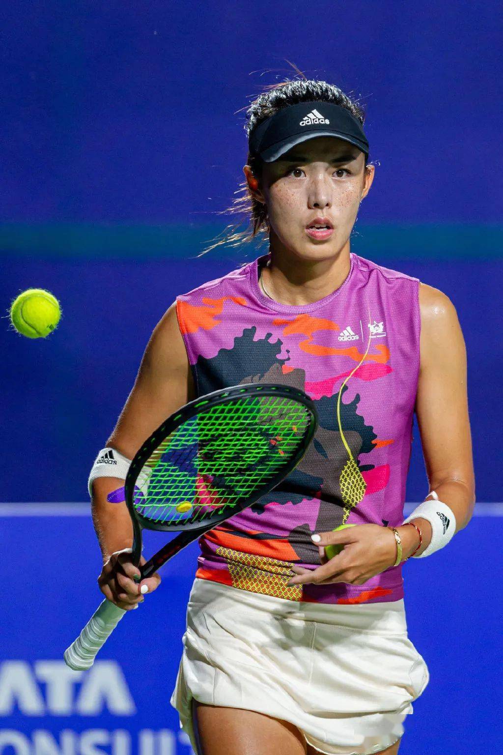 戴维斯杯完胜美网，鲁德刷新纪录的简单介绍