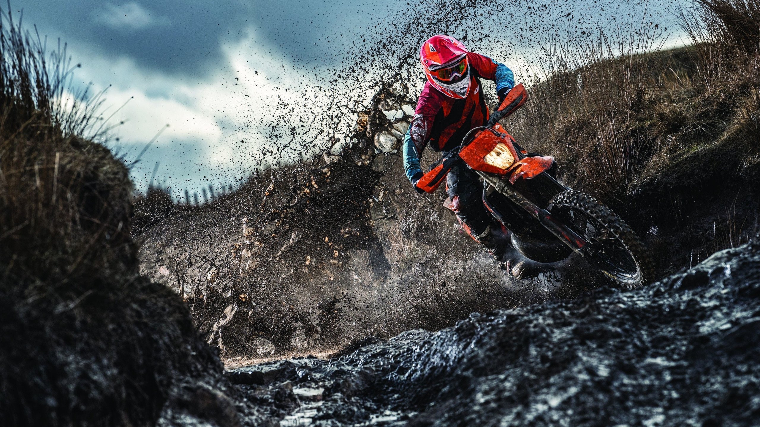 天才中卫一夫当关！比利时完胜厄瓜多尔，德里赫特在年度焦点之战接管比赛